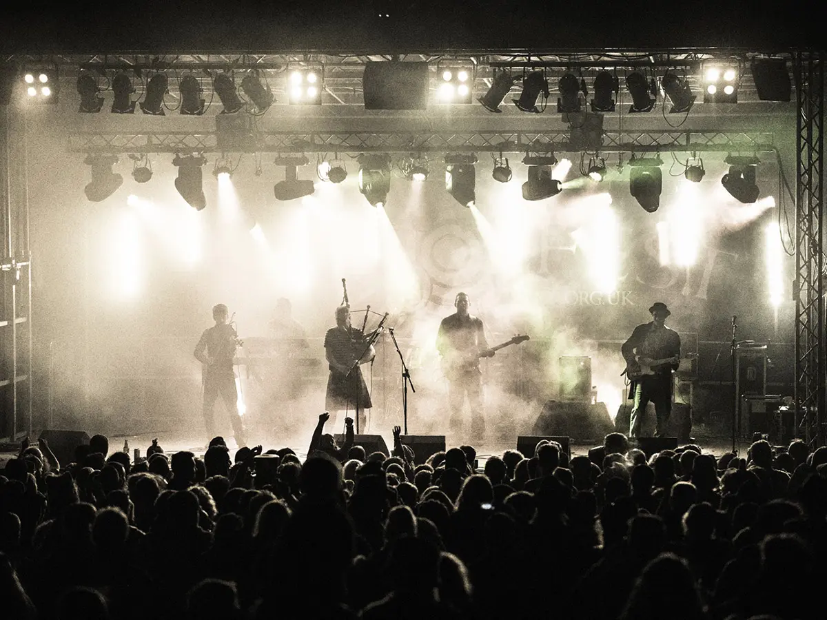 Peatbog Faeries