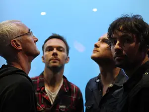 The Pineapple Thief