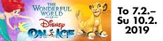 Disney On Ice