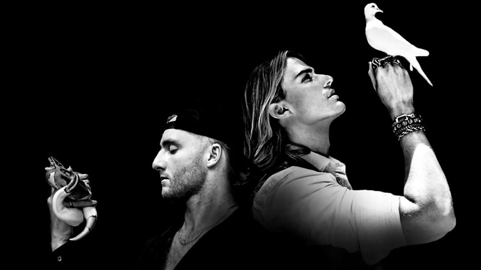 VOILÀ en concert à l'Ancienne Belgique