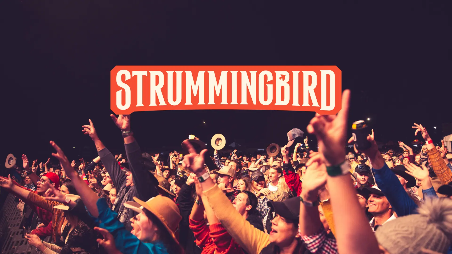 Strumming Bird