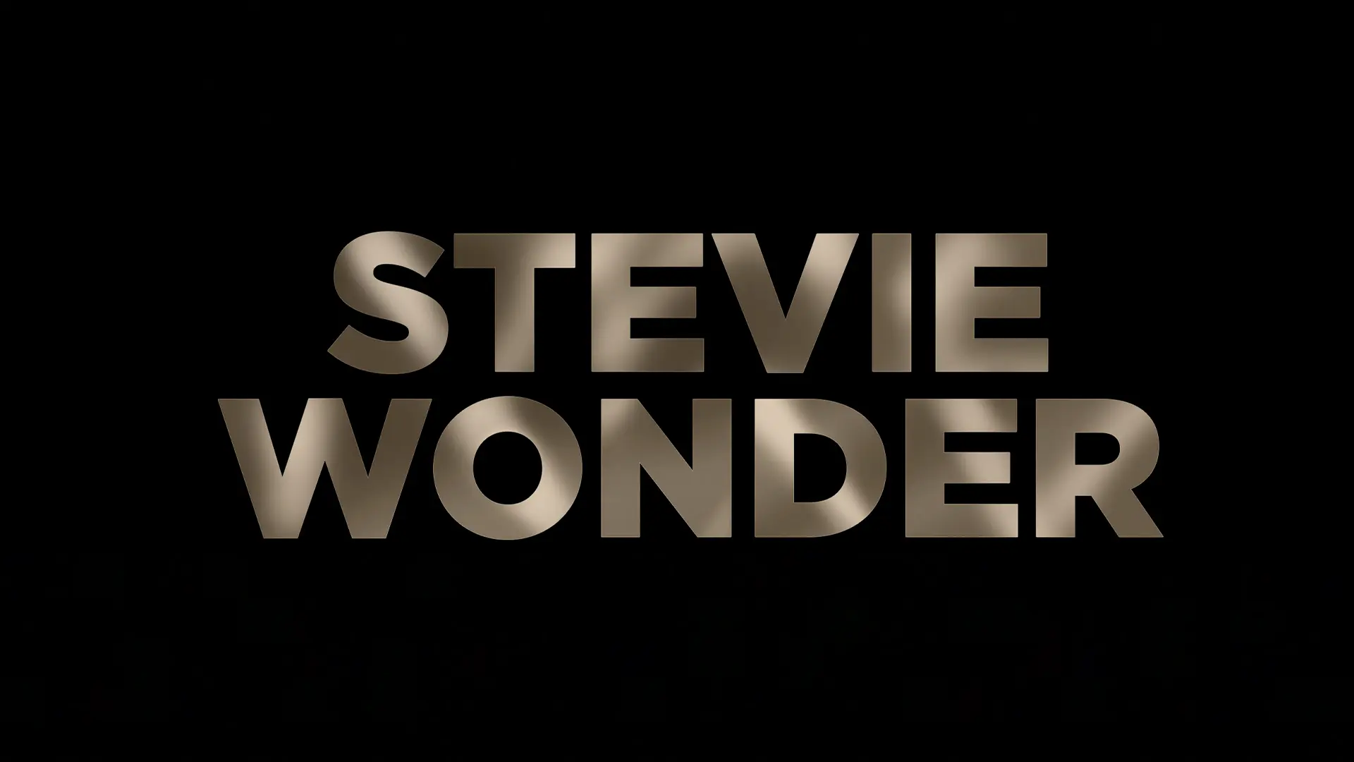 Stevie Wonder