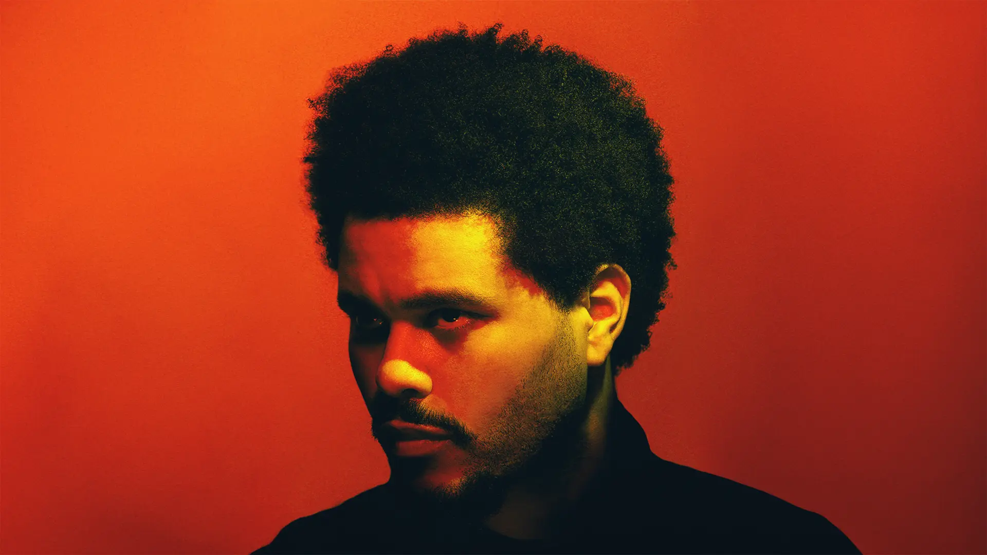 the weeknd press photo hori