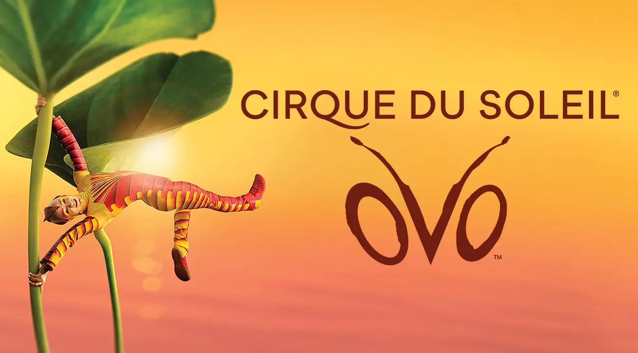 Cirque du Soleil - OVO