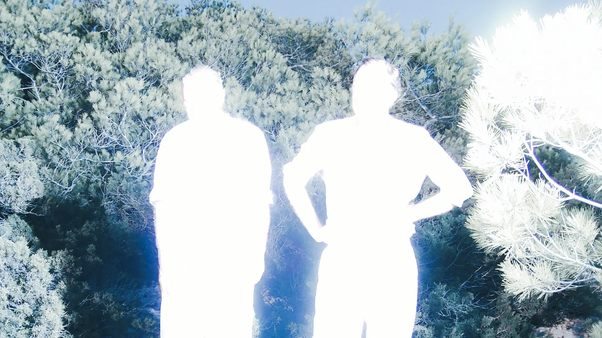 Soulwax