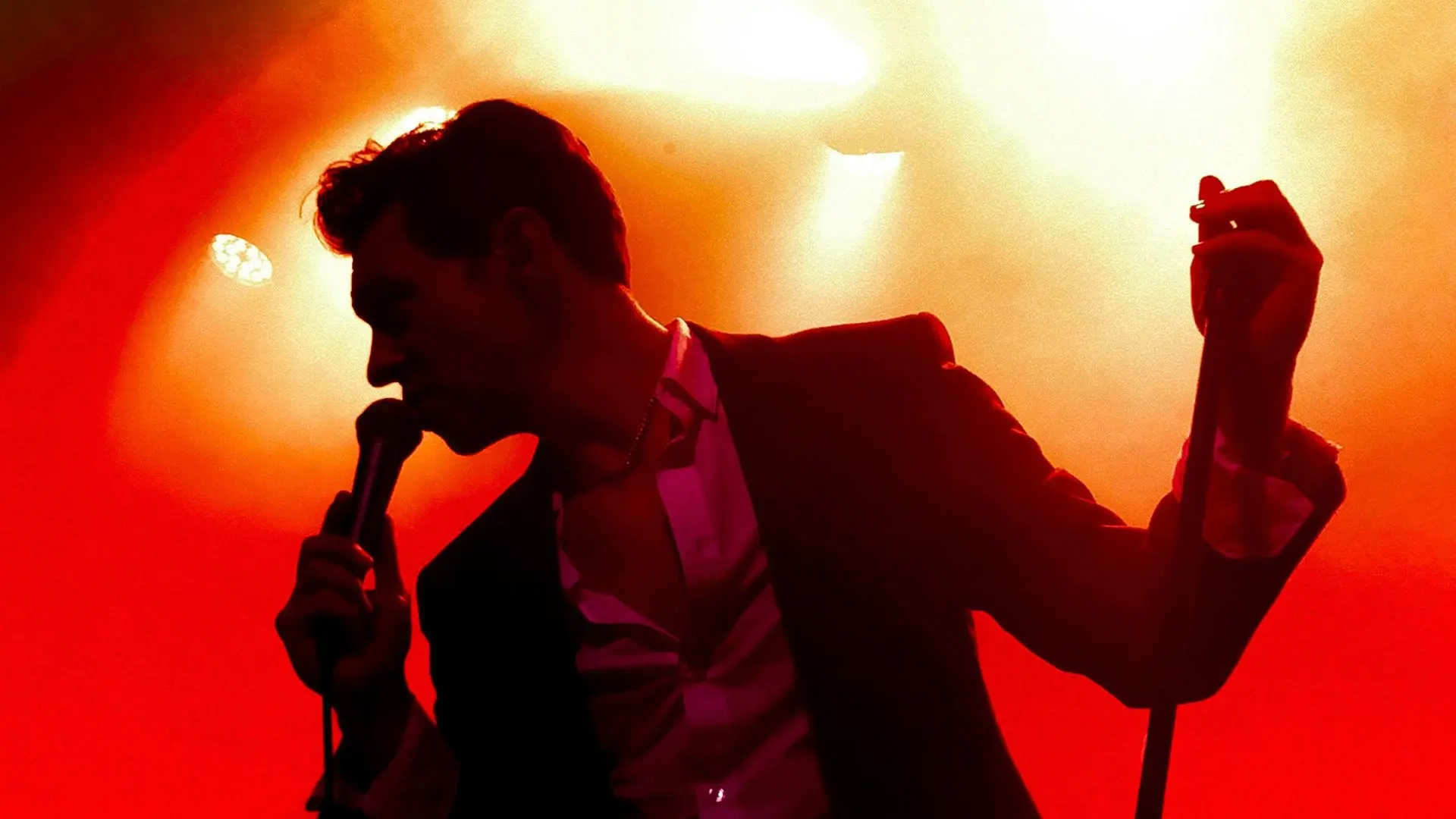 Antarctic MOnkeys