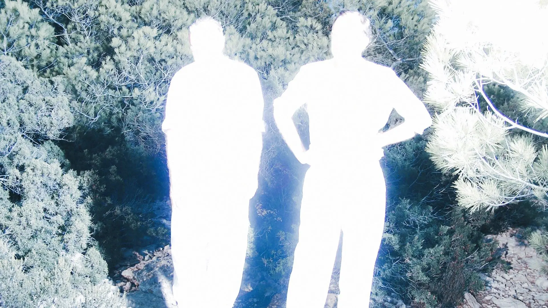 Twee leden van Soulwax, sterk overbelicht en bijna volledig wit weergegeven door flitslicht, staan op een rotsachtig pad omringd door dichte dennenbomen.