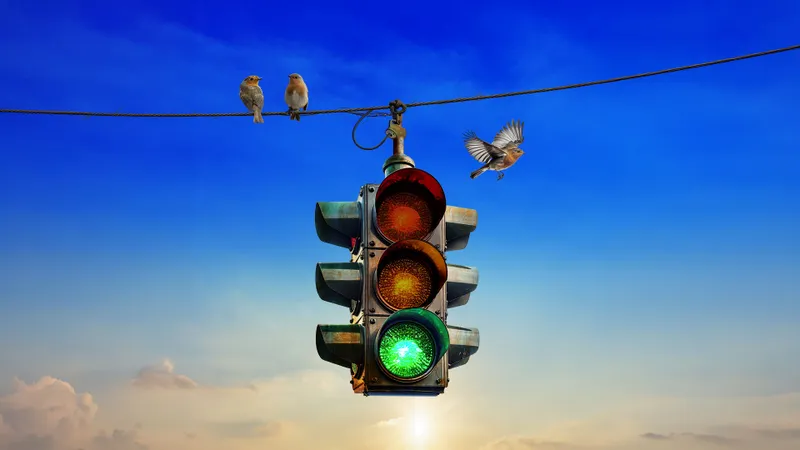 Rush: Fifty Something promo