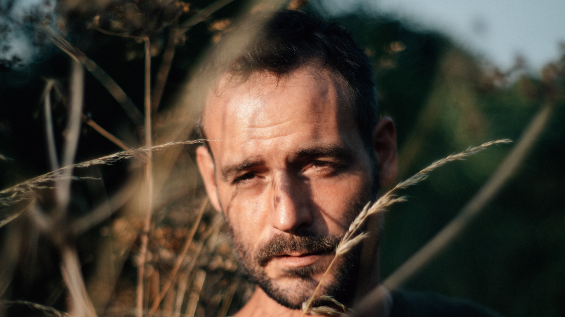 Roo Panes