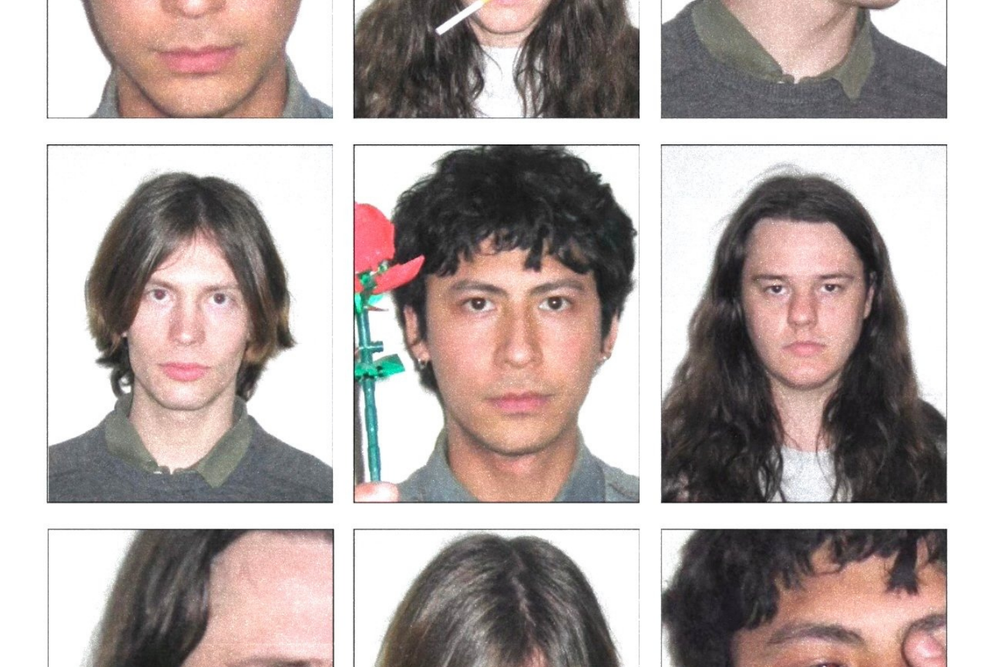 press picture of thistle.