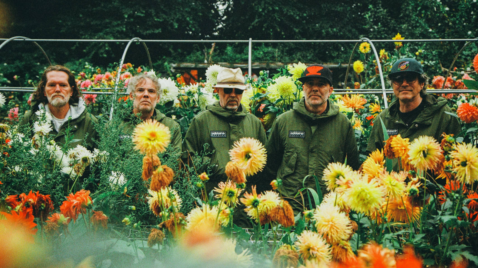 Super Furry Animals